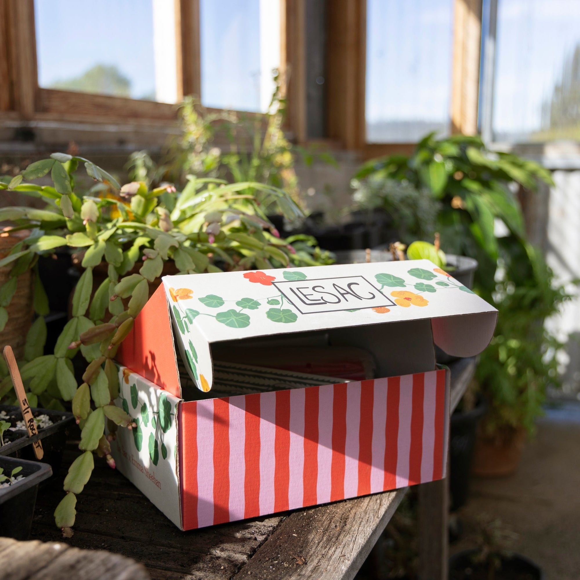 Gardener’s Surprise Box