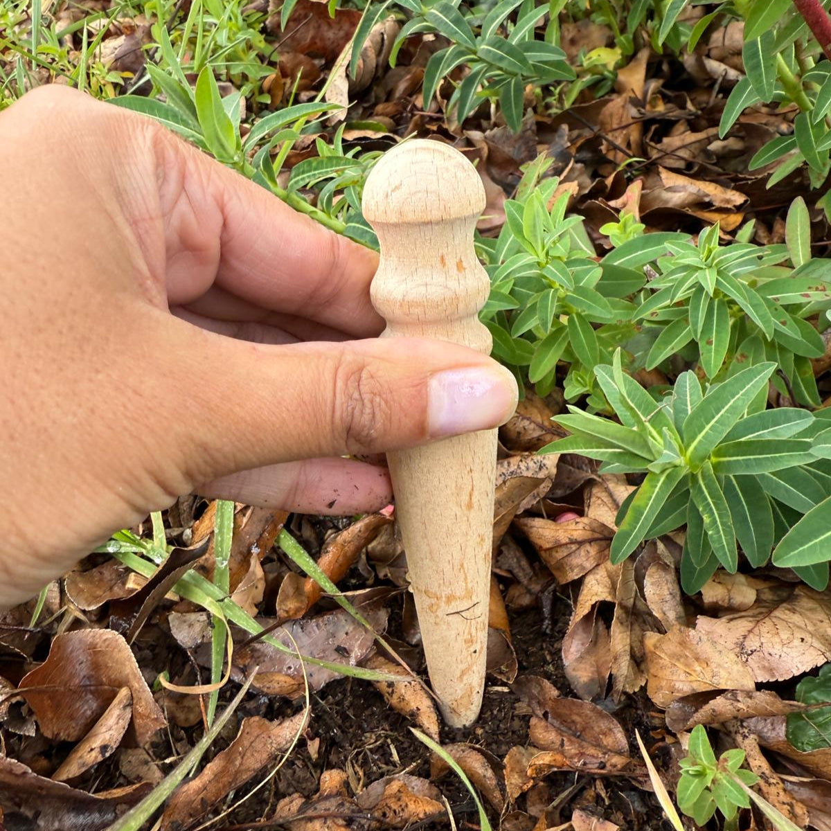Small Seed Dibber - Wooden