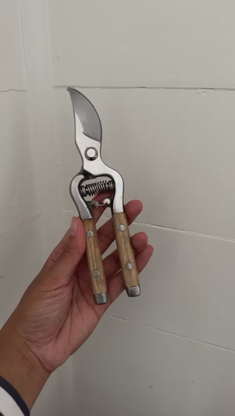 Ashwood Stainless Steel Pruners